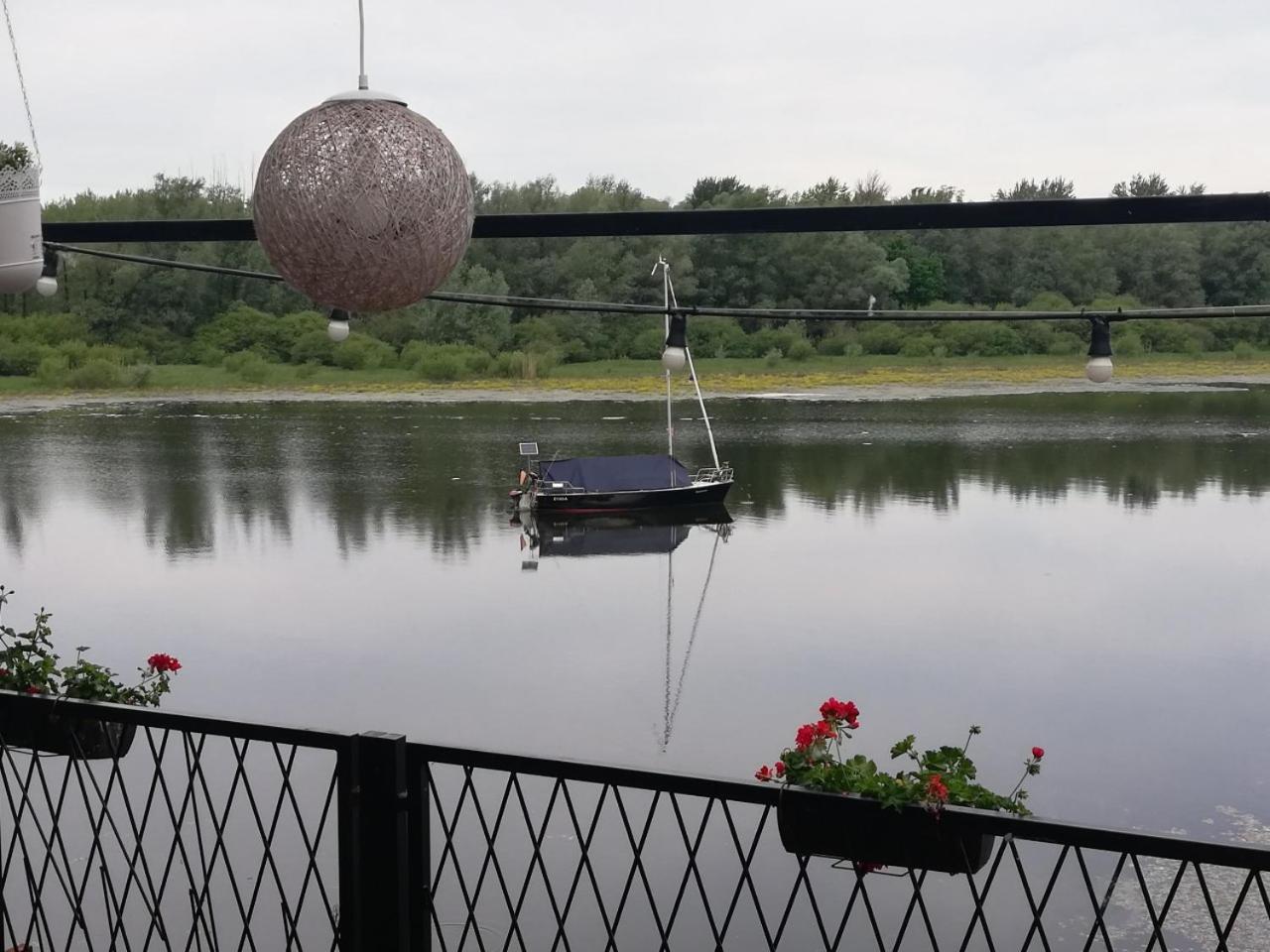 B&B Bela Vrba Backo Novo Selo Zewnętrze zdjęcie