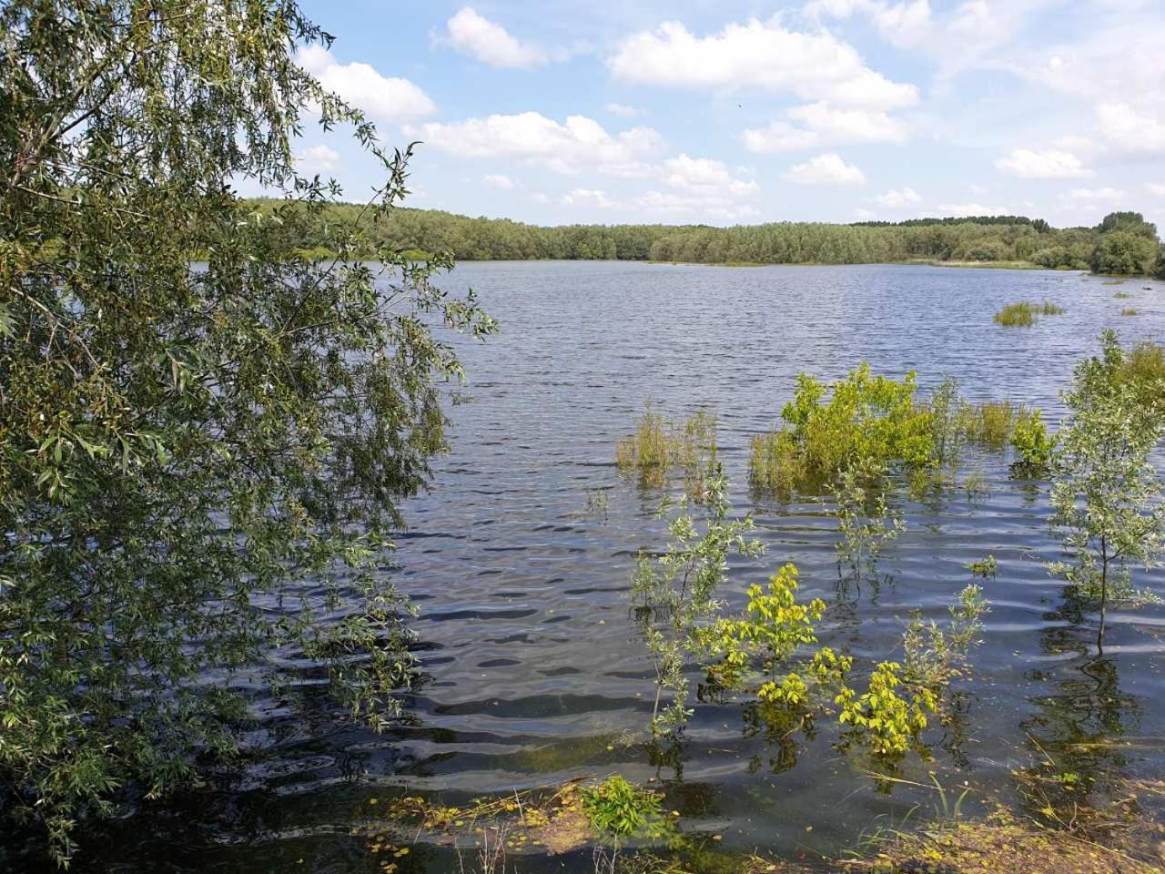B&B Bela Vrba Backo Novo Selo Zewnętrze zdjęcie