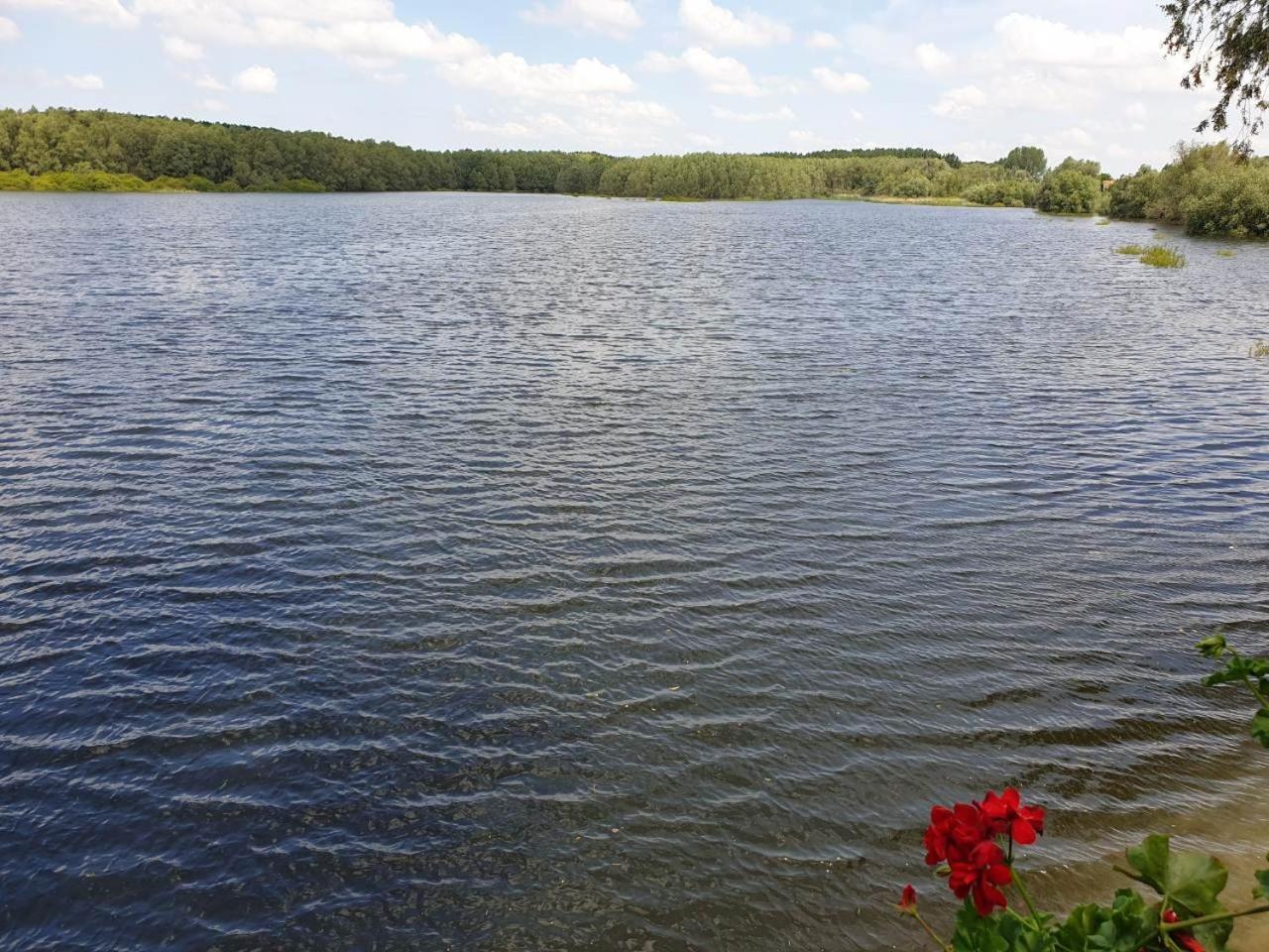B&B Bela Vrba Backo Novo Selo Zewnętrze zdjęcie
